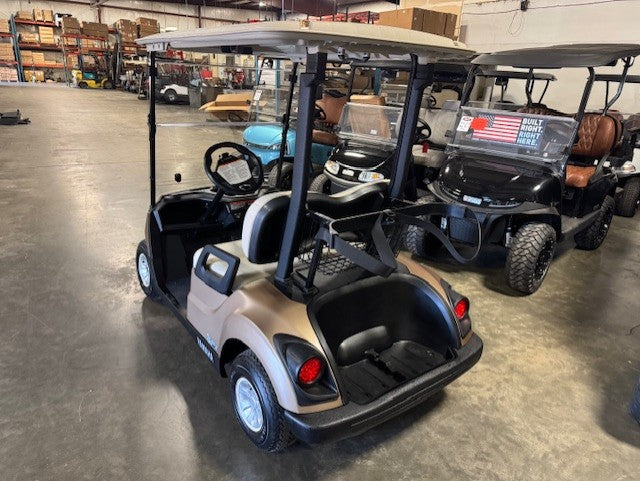 2019 Yamaha Drive 2 QuieTech Gas