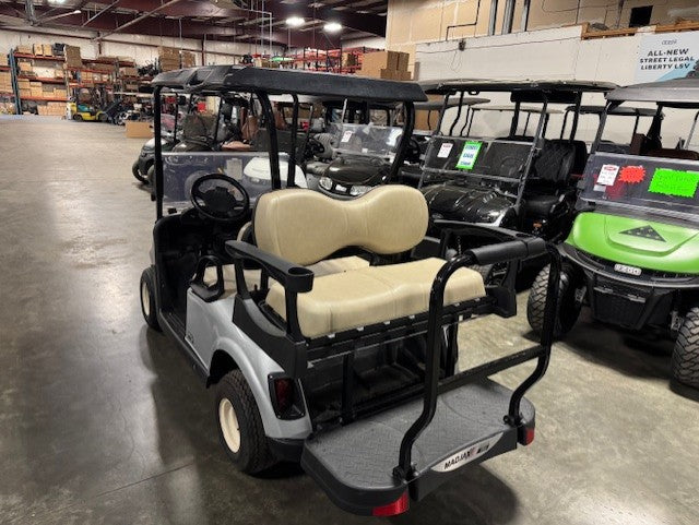 2020 E-Z-GO RXV Gas EFI