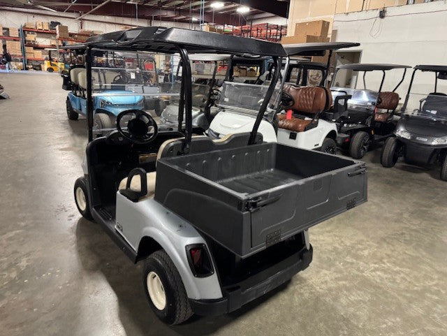 2020 E-Z-GO RXV Gas EFI