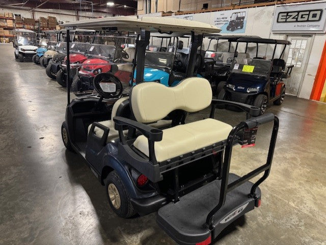 2019 Yamaha Drive 2 QuieTech Gas