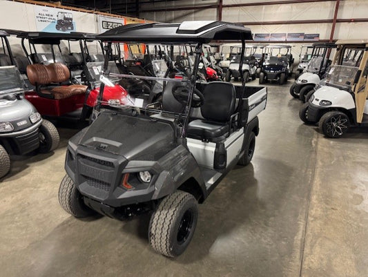 2025 Yamaha UMAX EFI